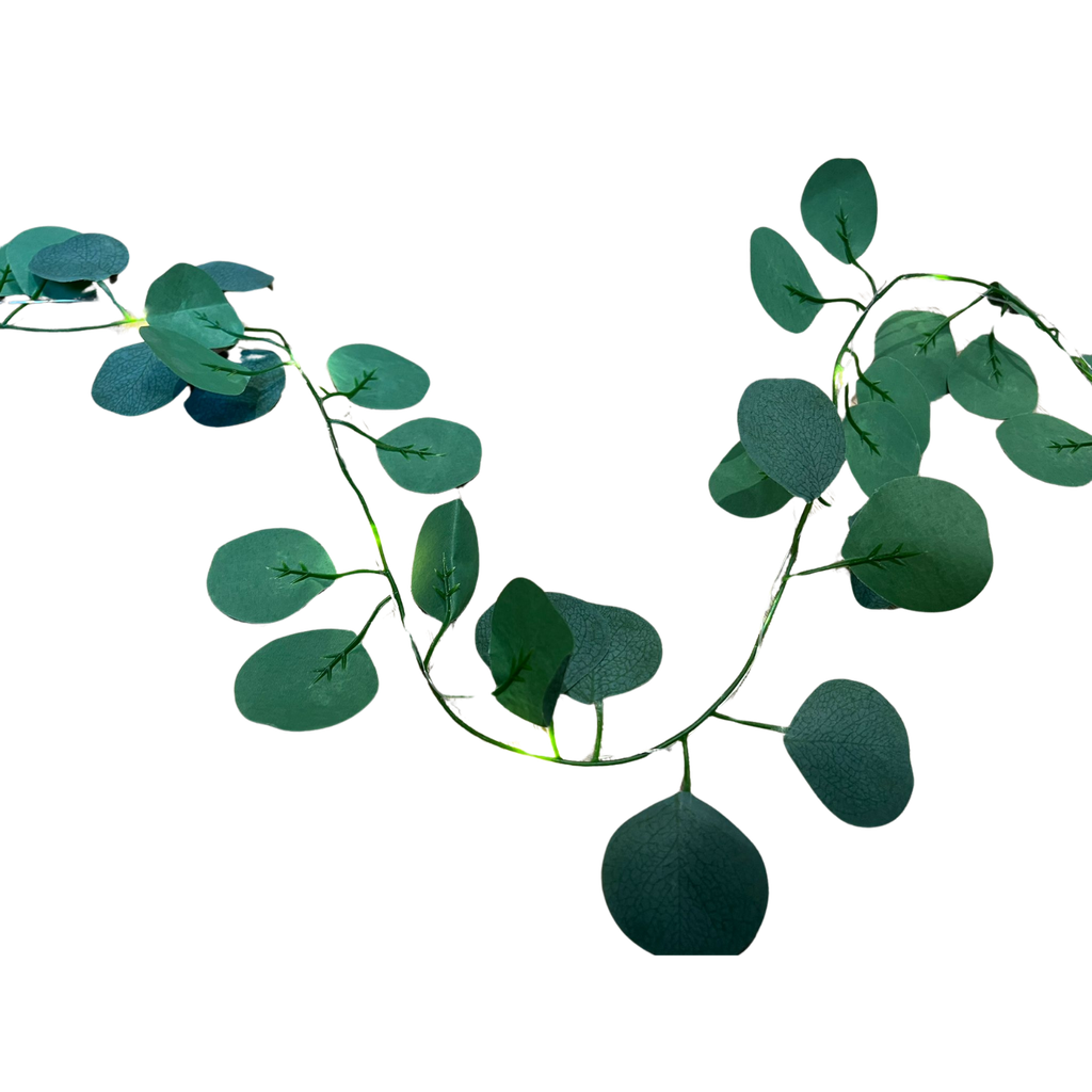 Guirlande eucalyptus lumineuse