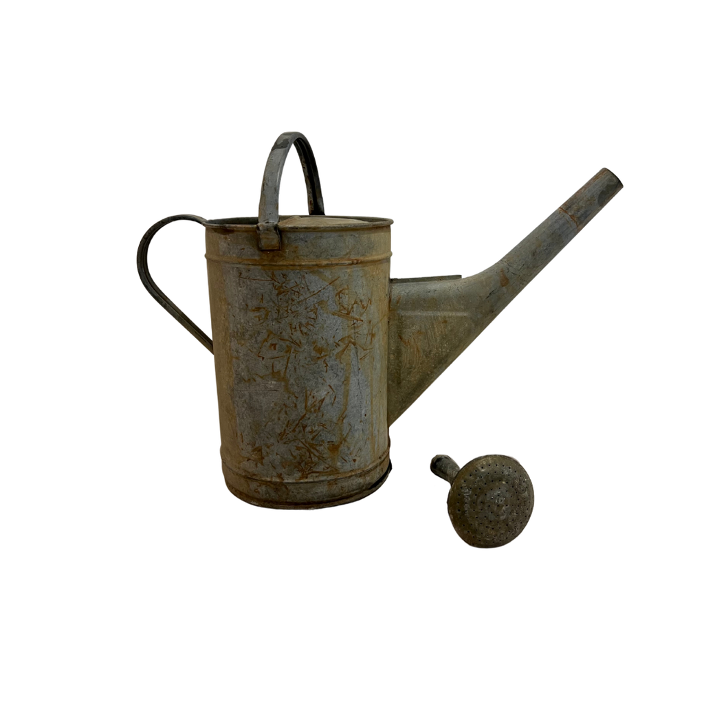 Arrosoir galvanisé avec pommeau