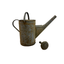 Arrosoir galvanisé avec pommeau