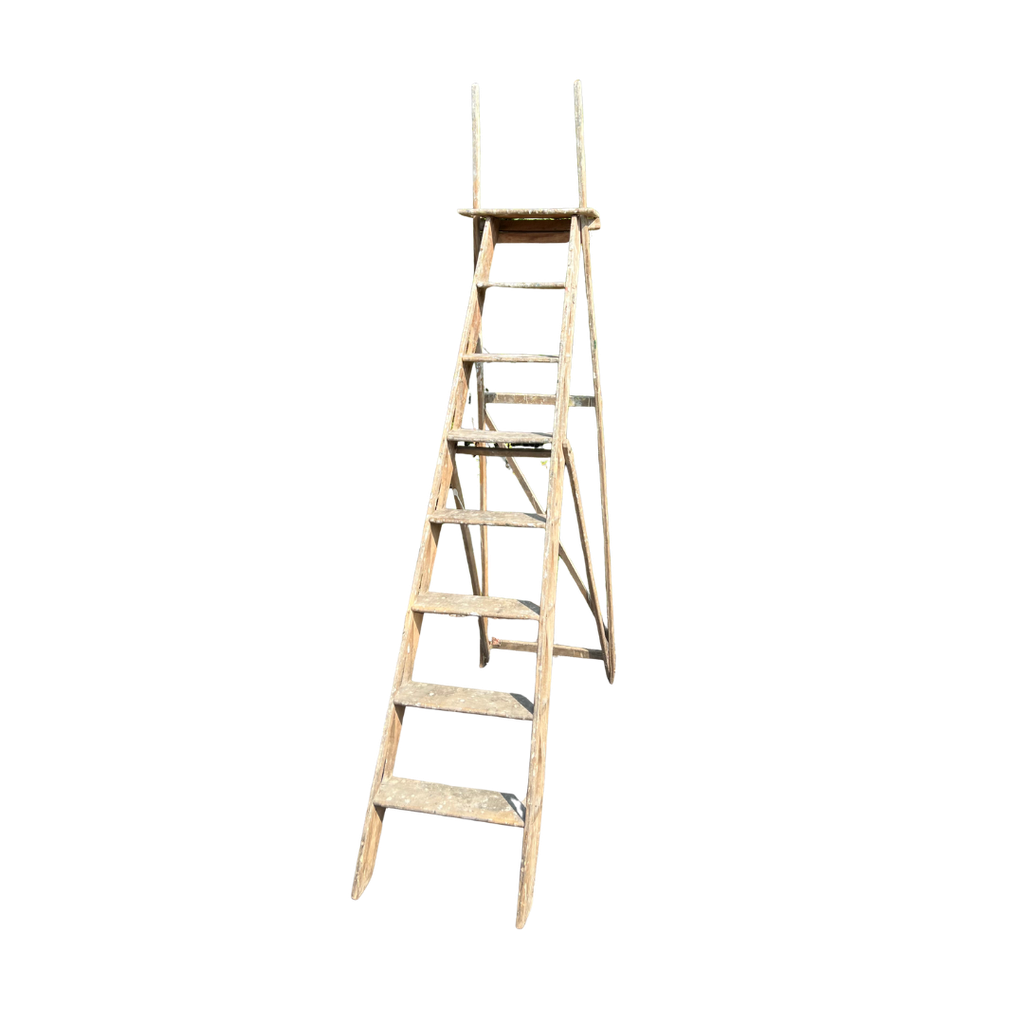 Echelle en bois pic