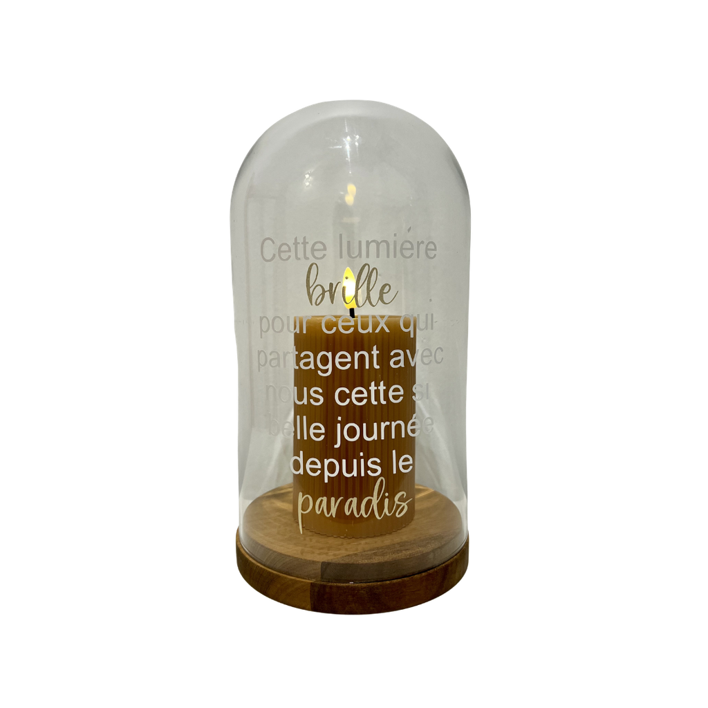 Cloche en verre et bois hommage brune