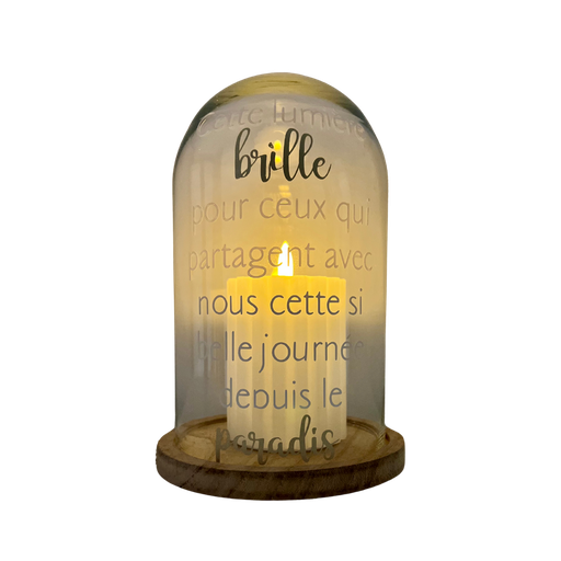 [CVBH] Cloche en verre et en bois hommage