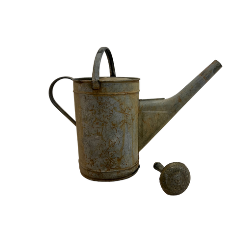 [AGP] Arrosoir galvanisé avec pommeau
